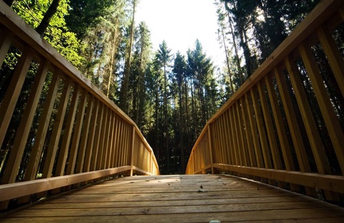Regen Apartment | Holiday apartment Regen for 1 - 2 persons with 1 bedroom - Holiday apartment