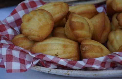 Labaume Apartment | Holiday apartment Uzès for 2 persons with 1 bedroom - Holiday apartment in a farmhouse