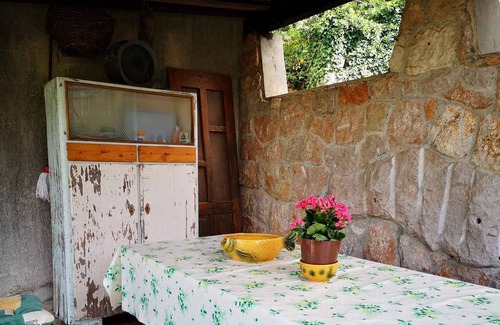 Cres Apartment | Holiday apartment Viktor Filozici's apartment