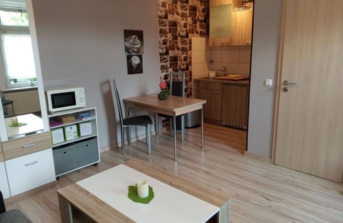 Hasserode Apartment | Holiday apartment Wernigerode for 1 - 2 persons with 1 bedroom - Holiday apartment