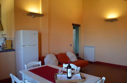 Asciano Apartment | Holiday apartment with swimming pool, strade bianche, swimming pool, view