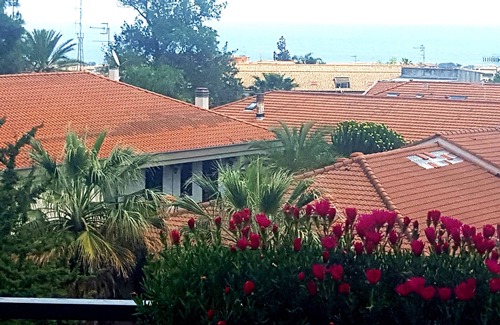 Giarre Apartment | HOLIDAY BETWEEN VOLCANO ETNA AND TAORMINA