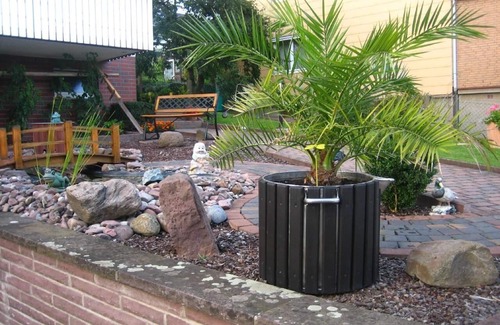 Polle Apartment | Holiday flat "Haus Herdlitschke"