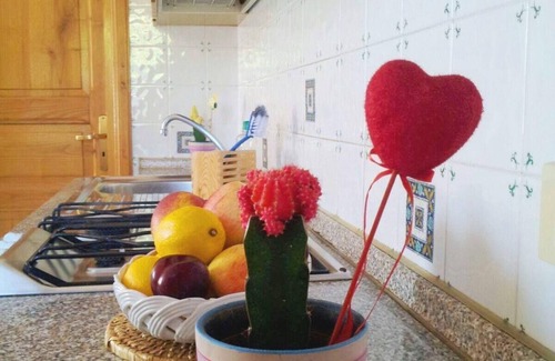 Barano d'Ischia House | Holiday flat "Hibiskus" with terrace se