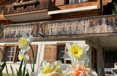 Meiringen Ski Chalet | Holiday flat in Chalet Underem Gfell 28
