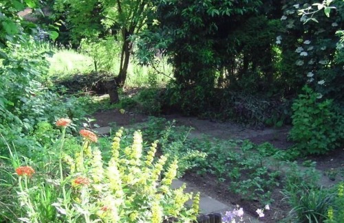 Furfurt House | Holiday flat "Lahnhöhe" with terrace