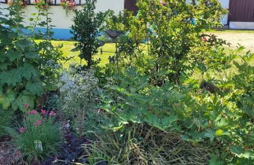 Schleithal House | Holiday Home Alsace near Vosges Nature Park