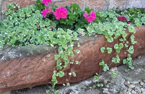 Schleithal House | Holiday Home Alsace near Vosges Nature Park