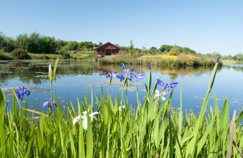 Llanerchymedd House | Holiday Home Llanerchymedd-3 by Interhome