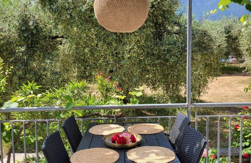 Skala Potamias House | Holiday homes in the olive grove