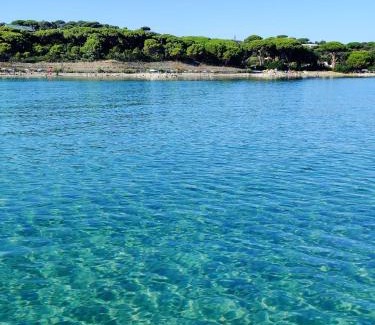 Punta Ala Apartment | Holiday Homes Marina apartments