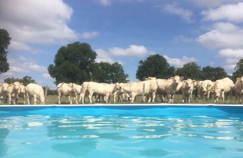 Saint-Hilaire House | Holiday house Buxières les Mines for 2 - 6 persons with 2 bedrooms - Holiday house