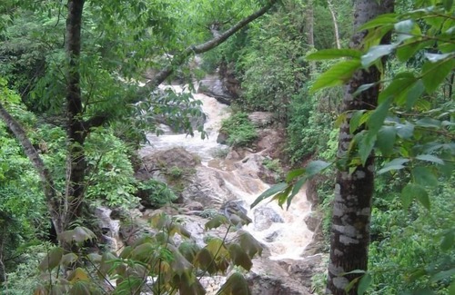 Mae Rim House | Holiday house Chiang Mai for 1 - 4 persons with 2 bedrooms - Holiday house