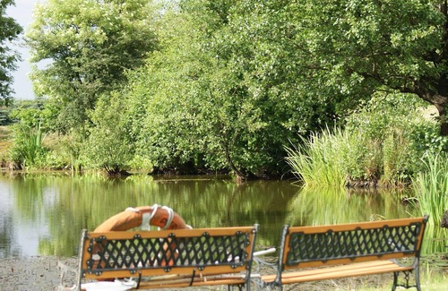 Darlowo Other | Holiday house Darlowo for 1 - 5 persons with 2 bedrooms - Farmhouse