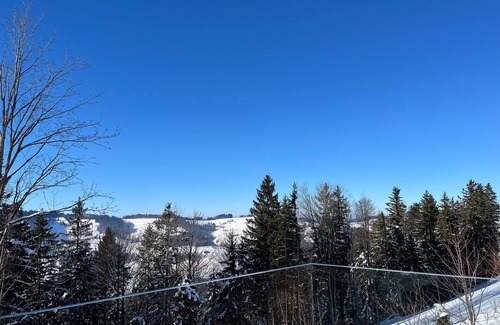 Fischenthal House | Holiday house Fischenthal for 1 - 6 persons with 1 bedroom - Holiday house