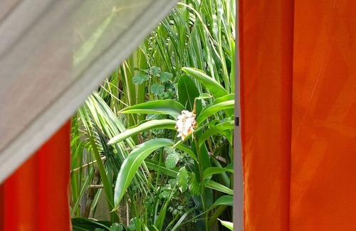 Grand-Bourg House | Holiday house in Marie-Galante # FR1AT3VY