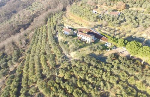 Arqua Petrarca House | Holiday House Petrarca