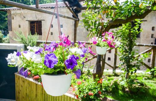 Pucara House | Holiday House Ruocco