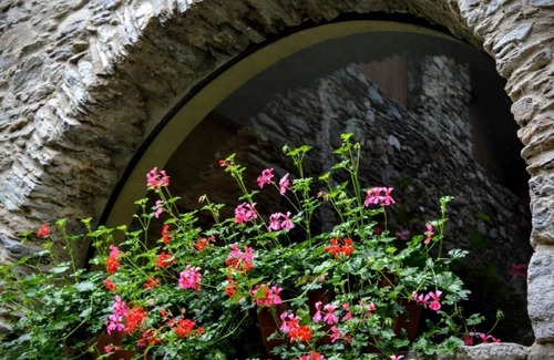 Vignone House | Holiday house Vignone for 3 - 4 persons with 2 bedrooms - Holiday home