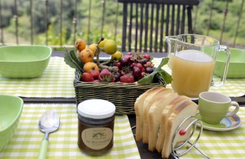 Pompeiana House | Holiday house with 3 apartments with private garden with sea view and swimming pool!