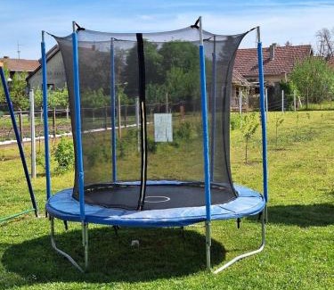 Borovo House | Holiday house with a parking space Vukovar, Slavonija - 22809