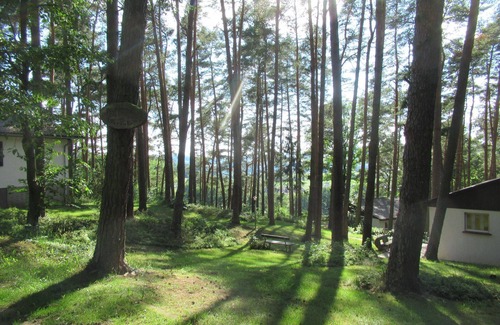 Mengshausen House | Holiday houses with a pool, in a quiet location by the edge of a forest