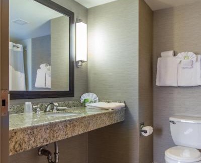 Auburn Hotel | Holiday Inn Express Hotel & Suites Auburn by IHG