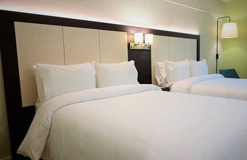 Centro Hotel | Holiday Inn Express Rosario by IHG