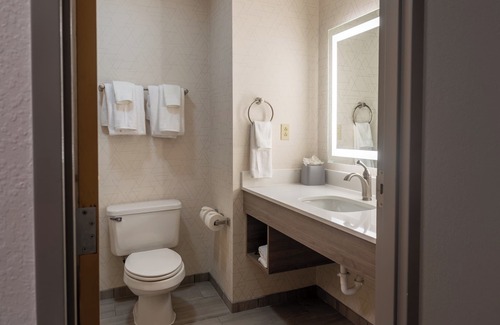 Vicksburg Hotel | Holiday Inn Express & Suites Vicksburg by IHG