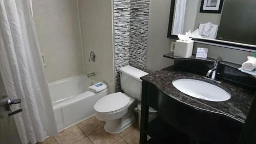 Camp Springs Hotel | Holiday Inn Express Washington DC East- Andrews AFB by IHG
