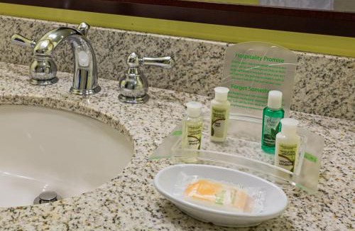 French Quarter Hotel | Holiday Inn Hotel French Quarter-Chateau Lemoyne by IHG