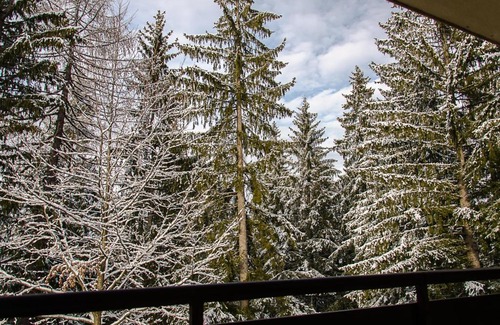 Cioplea Villa | Holiday Vila Predeal
