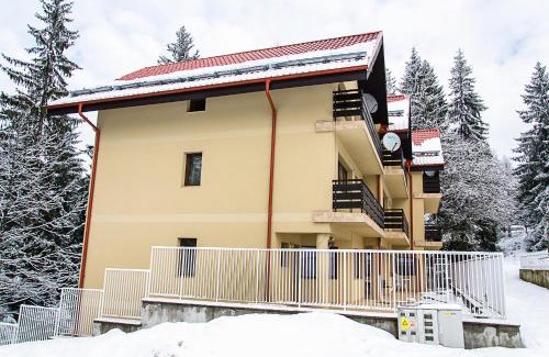 Cioplea Villa | Holiday Vila Predeal