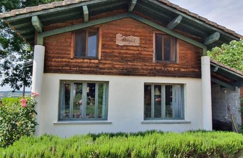 Montfermier House | Holidayhomepoujol 6 persons