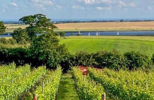 Althorne House | Holly No2 - Uk49254