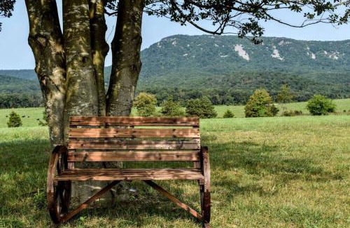 Luray House | Holly Tree Retreat Located In Beautiful Luray, VA.