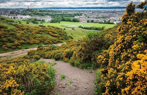 Gifford Apartment | Holyrood Park Apartment near Royal Mile and Palace