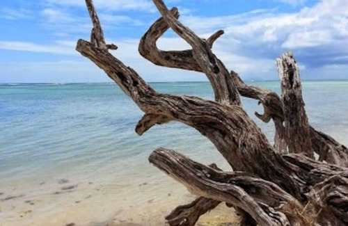 Capesterre-de-Marie-Galante House | Homerez - Retreat in Capesterre