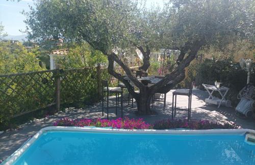 Borghesiana House | HomArt roof roman king