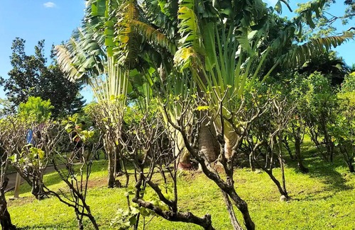 Sainte-Rose Villa | Homerez - Amazing villa 1 km away from the beach for 8 ppl. with swimming-pool