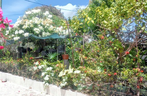 Port-Louis Apartment | Homerez - Apt in Port-Louis with garden
