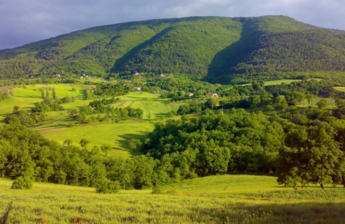 Assisi Apartment | Homerez - Beautiful appartement for 3 ppl. with shared pool at Assisi