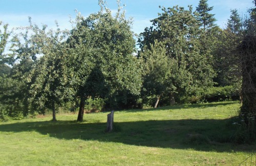 Sourdeval House | Homerez - Charming House in Sourdeval with Enclosed Garden