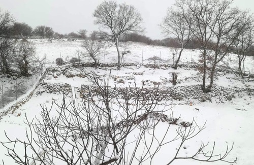 Cres House | Homerez - Charming House in Filozici with fenced garden