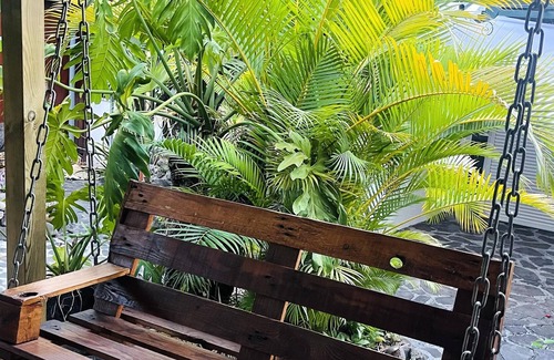 Basse-Terre Apartment | Homerez - Fantastic studio apartment With garden