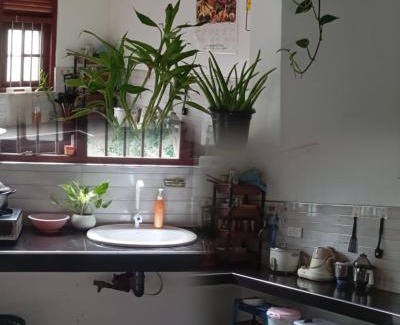 Welipitiya House | Homestay in Naturals Village