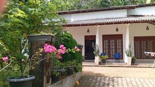 Welipitiya House | Homestay in Naturals Village