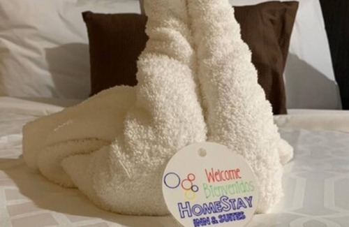 Edinburg Hotel | HomeStay Inn & Suites Edinburg