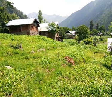 Srinagar House | HomeStay Just a Minute Away From Hari Parbat