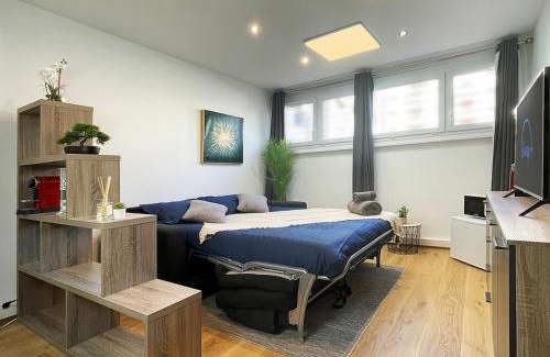 Annemasse Apartment | HOMEY TINY - Chambre privée - Située en Hyper-centre - Disney Plus et Wifi inclus - Sans SDB - Proche de Genève et des transports en commun